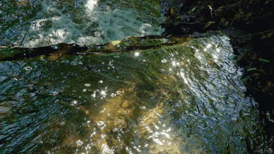 Imagem do banner principal da pagina.