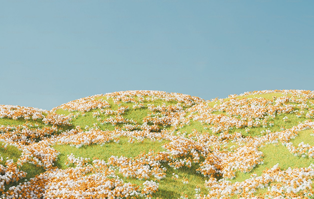 Imagem do carrossel educativo