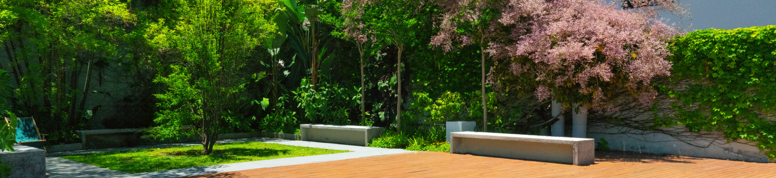 Imagem do banner principal da pagina.