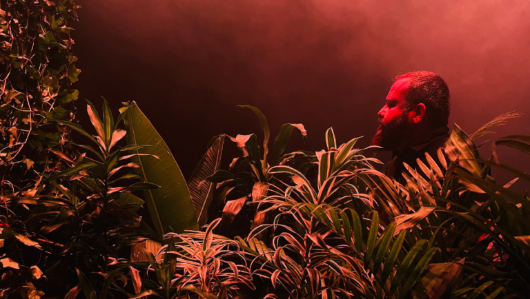 O amor é floresta, de Rodrigo Munhoz a.k.a. Amor Experimental